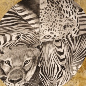 Eyes of Africa - circle of eyes